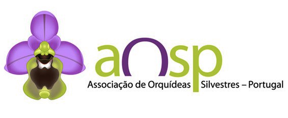 AOSP Logo